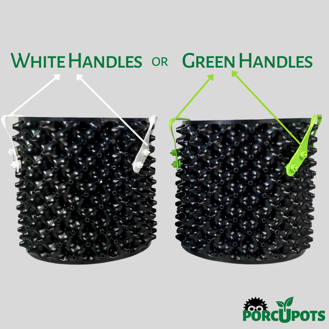 Load video: Porcupots Air Pruning Pots for a Healthy, Fibrous Root Systems.  Grow bigger, healthier plants with Porcupots Airpots for plants.