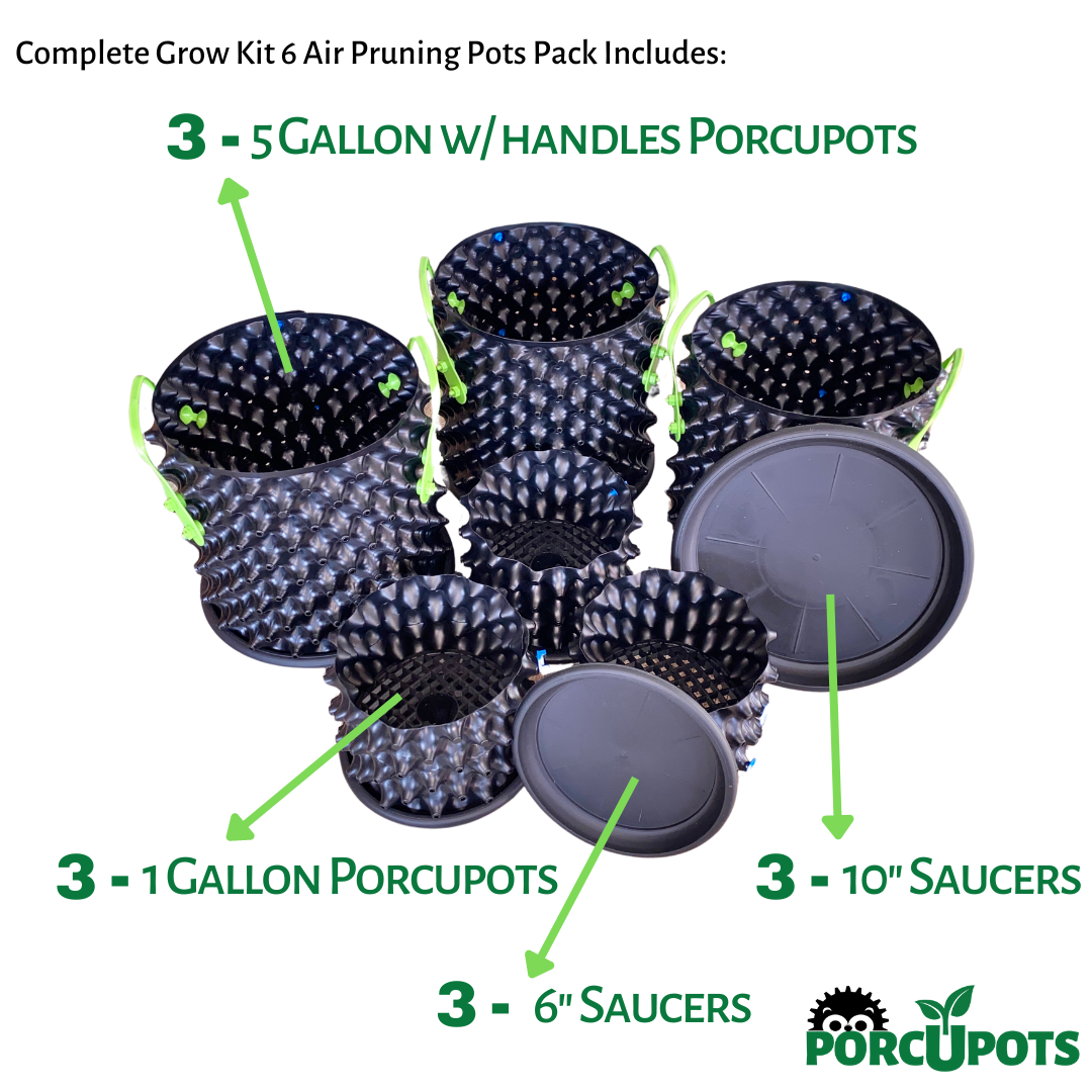 Air Pruning Pots - 3 Complete Grow Kits